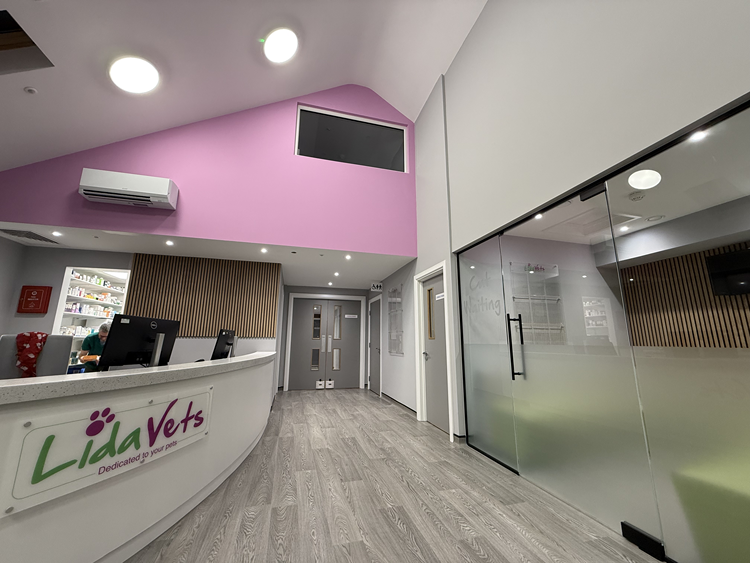 Refurbished Lida Vets reception with curved desk and feature wall