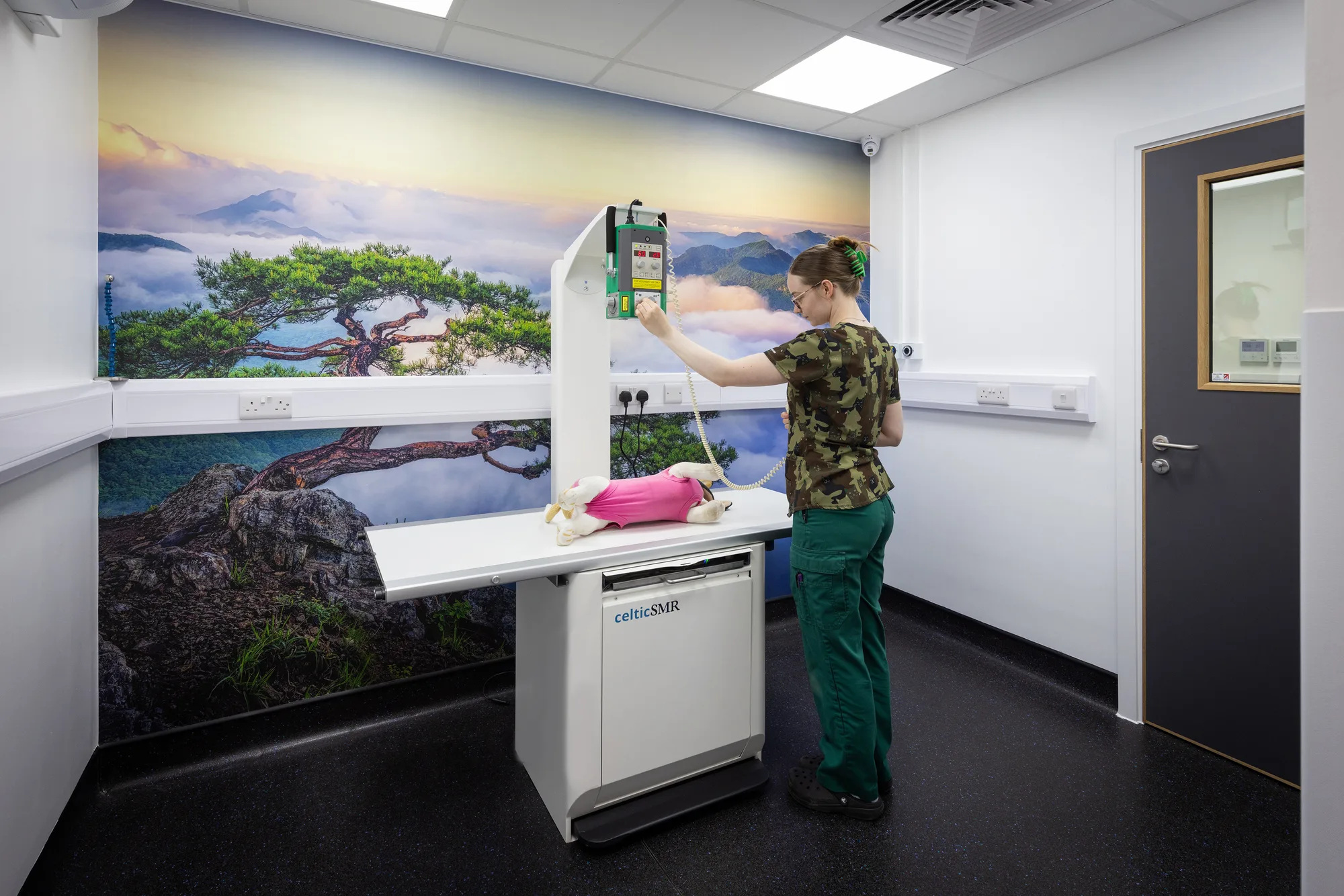 Imaging room at Vetemis Referrals, Brownhills, with the X-ray table and a full-wall landscape mural