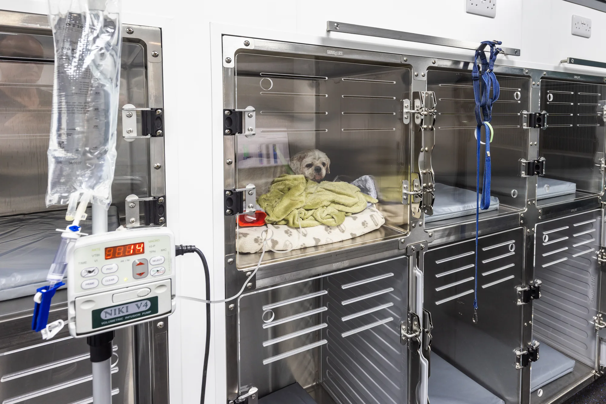 Stainless steel kennels at Vetemis Referrals, Brownhills, with a dog on a fluid pump in an occupied compartment