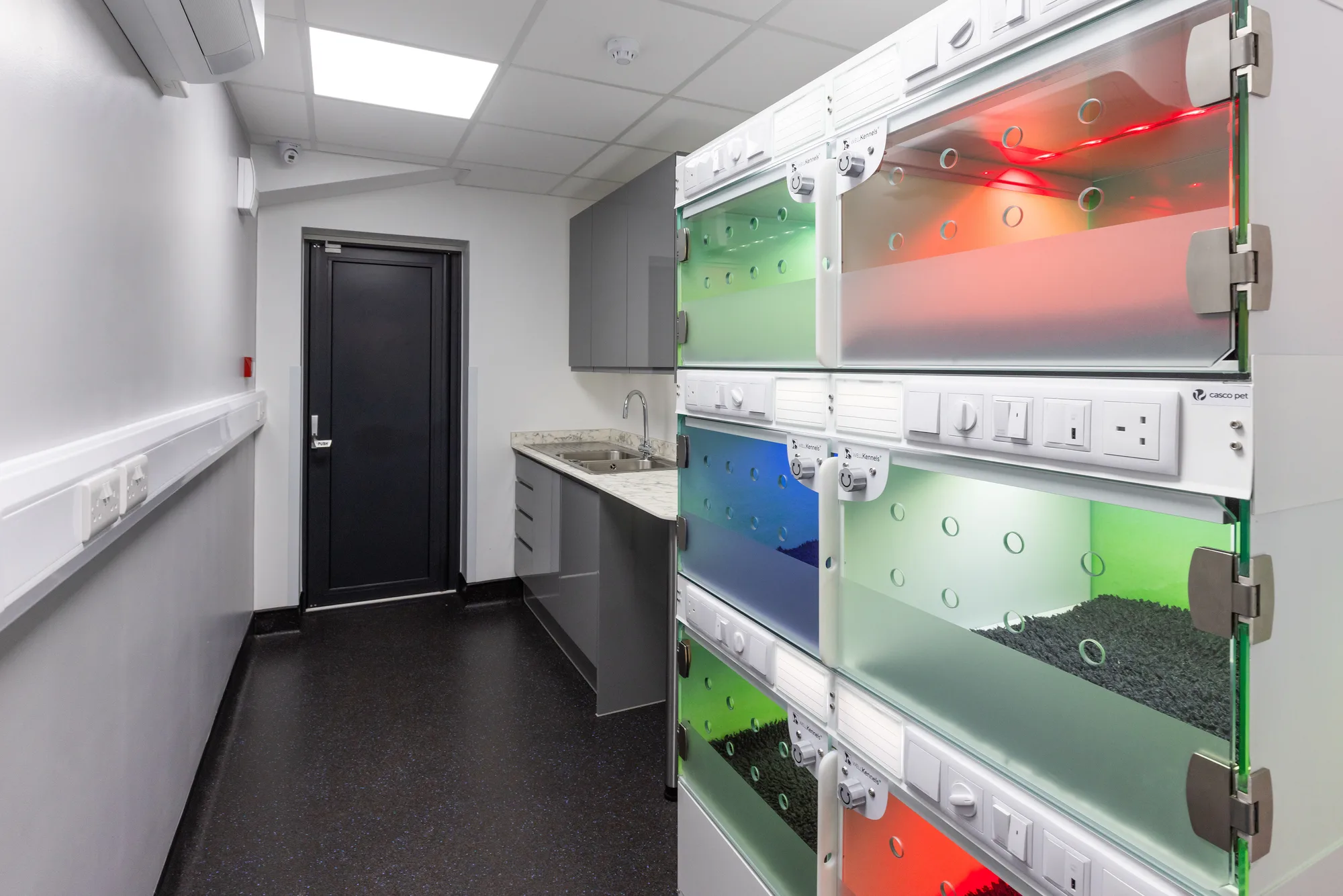 Kennel ward at Vetemis Referrals, Brownhills, with glass-fronted kennels and a clinical sink run