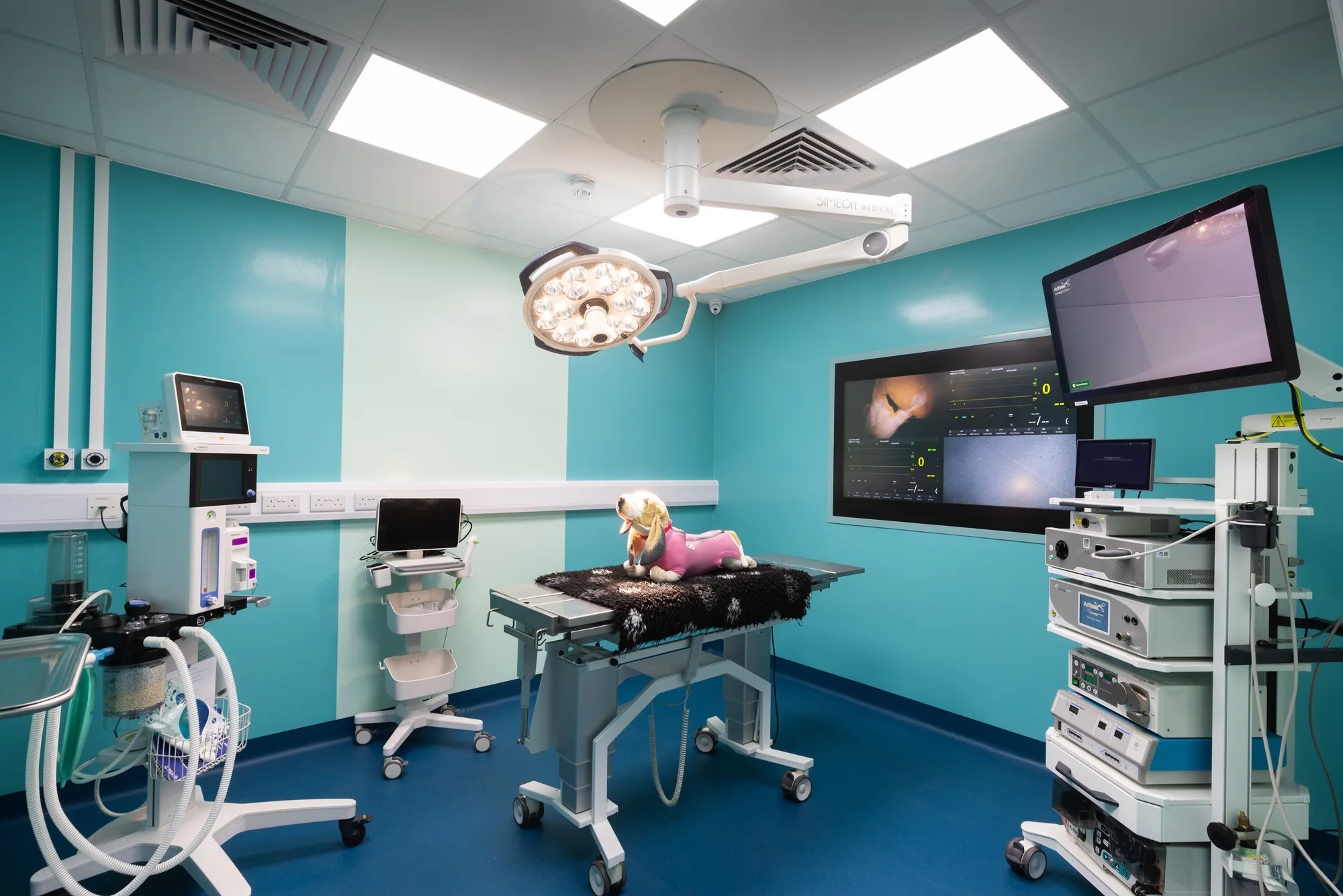 Operating theatre in use at Vetemis Referrals, Brownhills, with the surgical light over the table